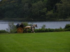 אירלנד - עגלה עם סוסה